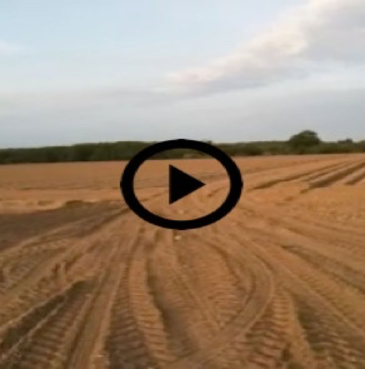 360 degree video of open fields.